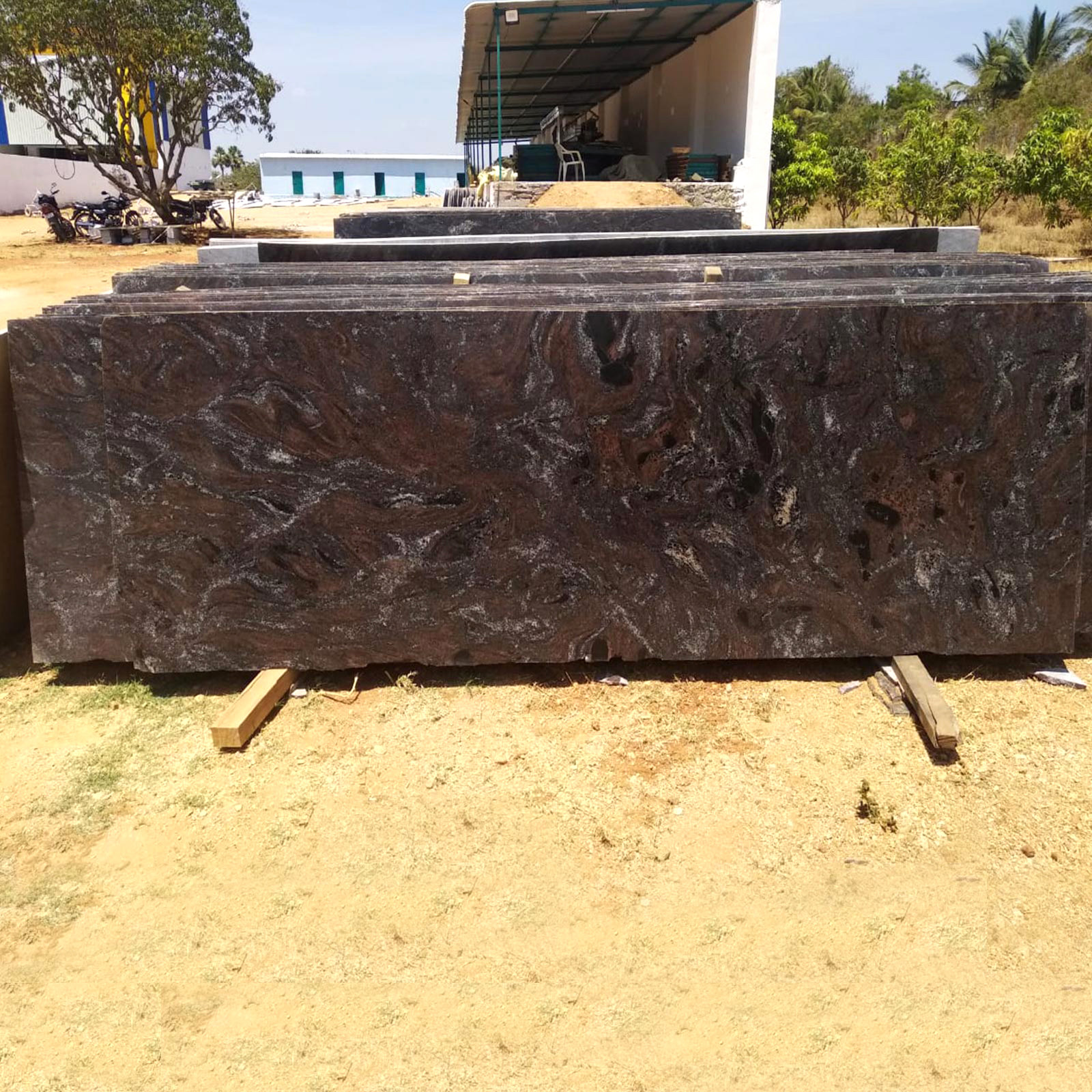 Classic paradiso granite cutter slabs