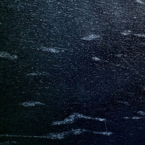 Fish Black Granite