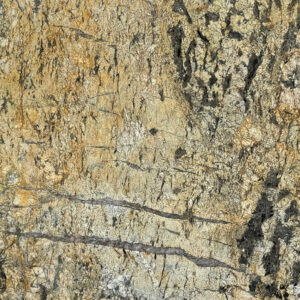 Exotic Gold Granite
