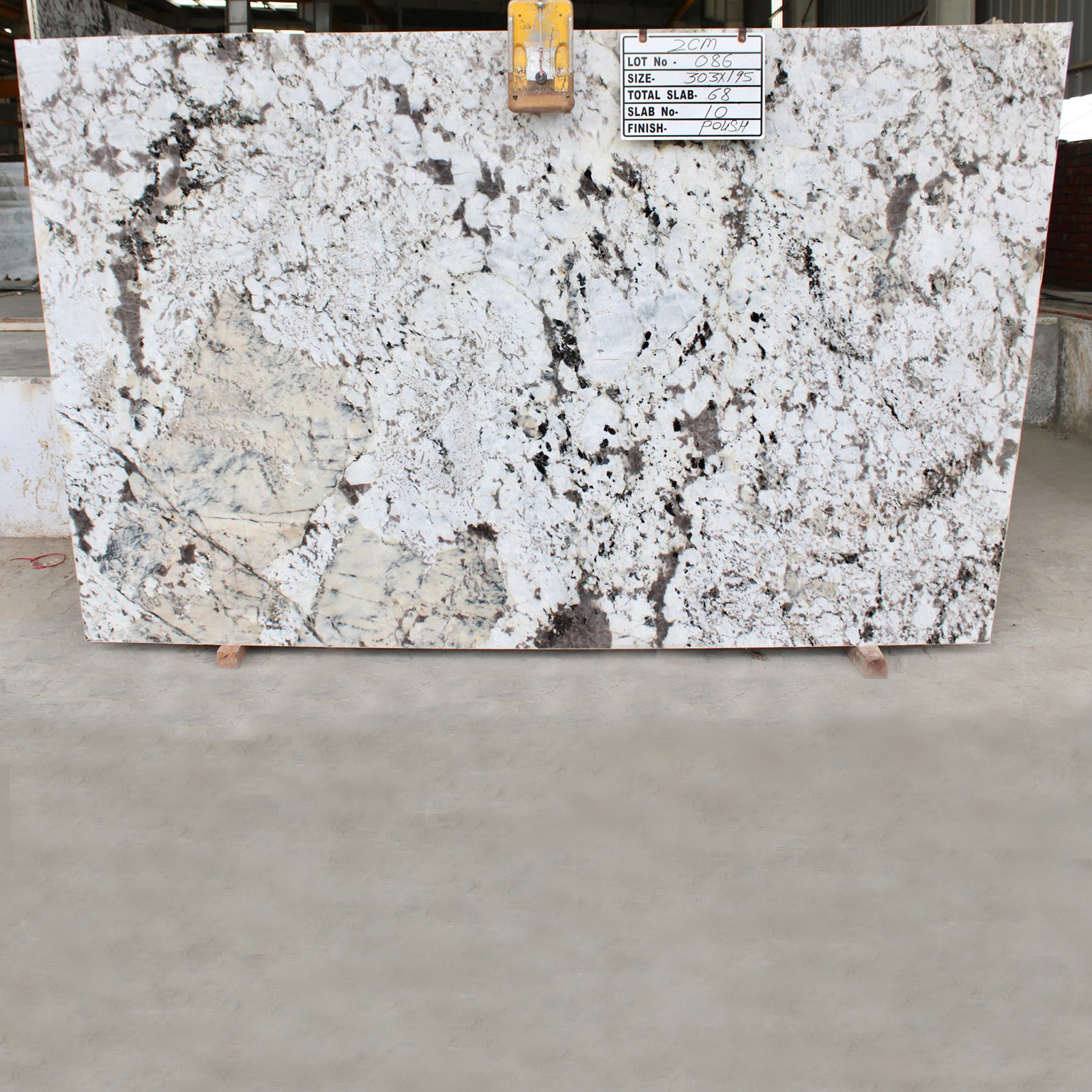 Alpinus white granite gangsaw slab