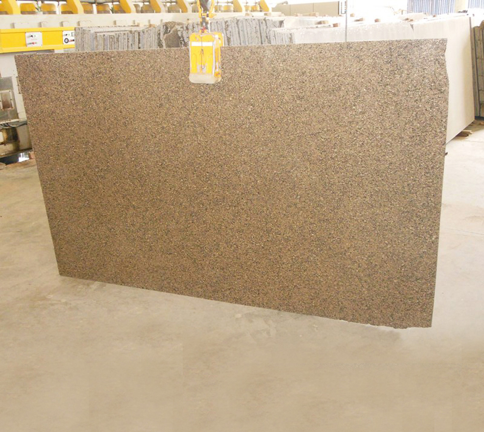 Desert gold granite gangsaw slab