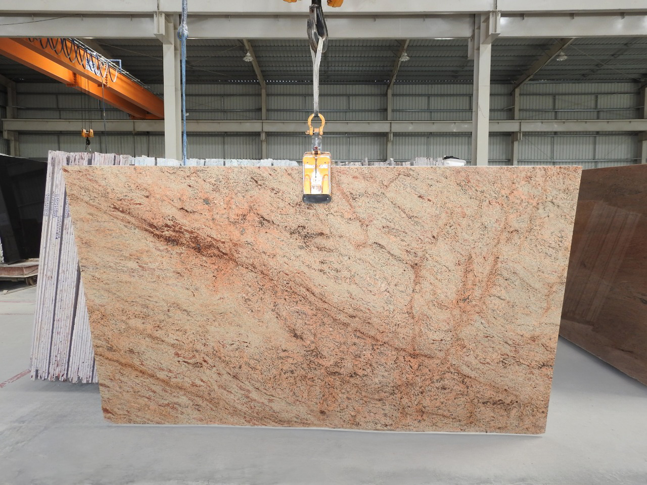 Shivakashi gold granite gangsaw slab