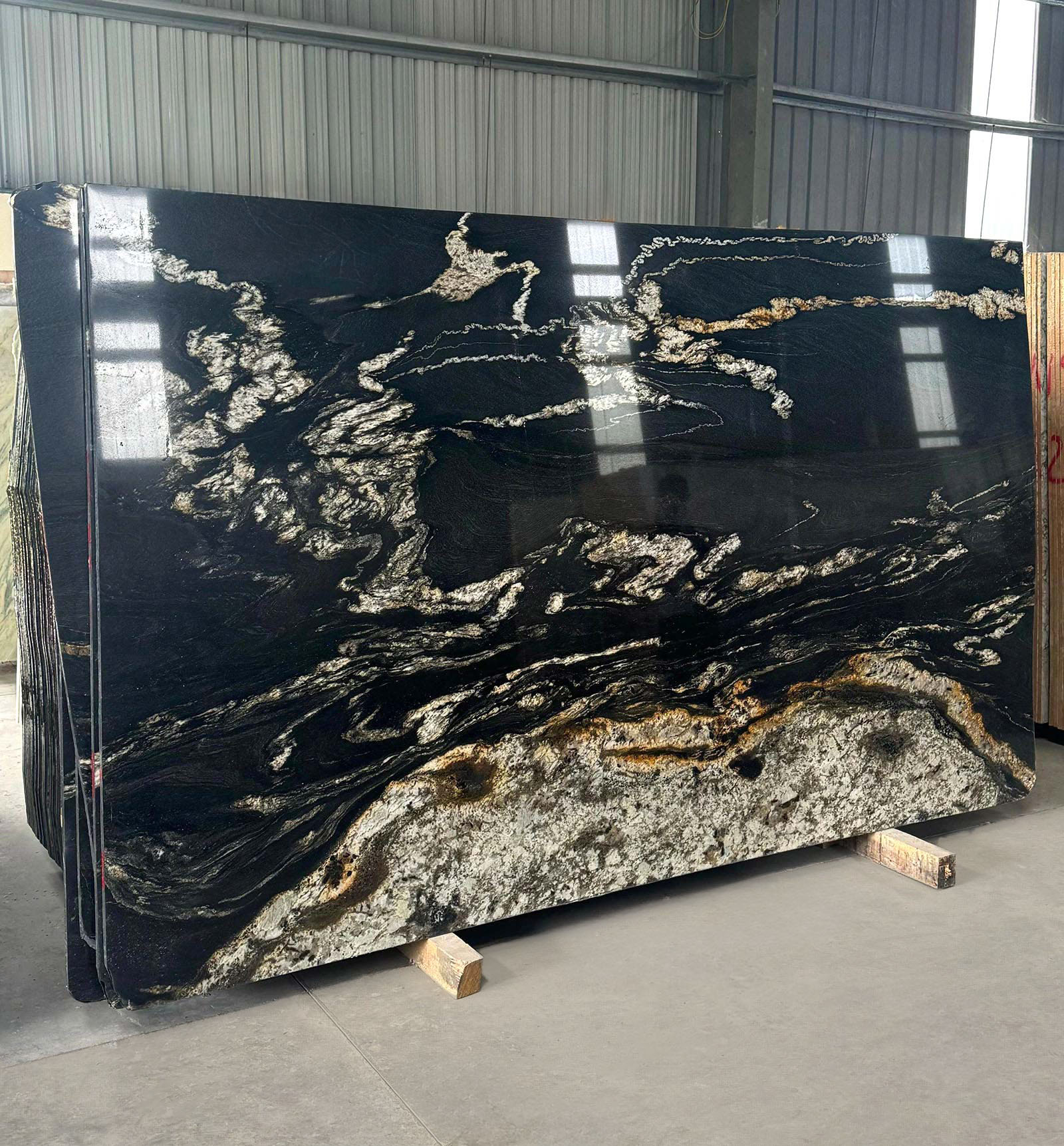 Titanium gold granite gangsaw slab